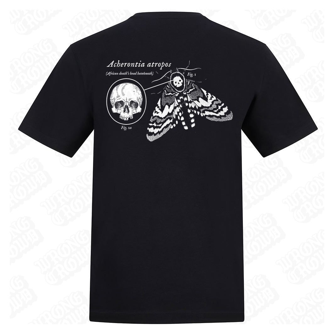 Deaths Head Hawkmoth | Regular Fit Black T-Shirt - Wrong Crowd Artist merch