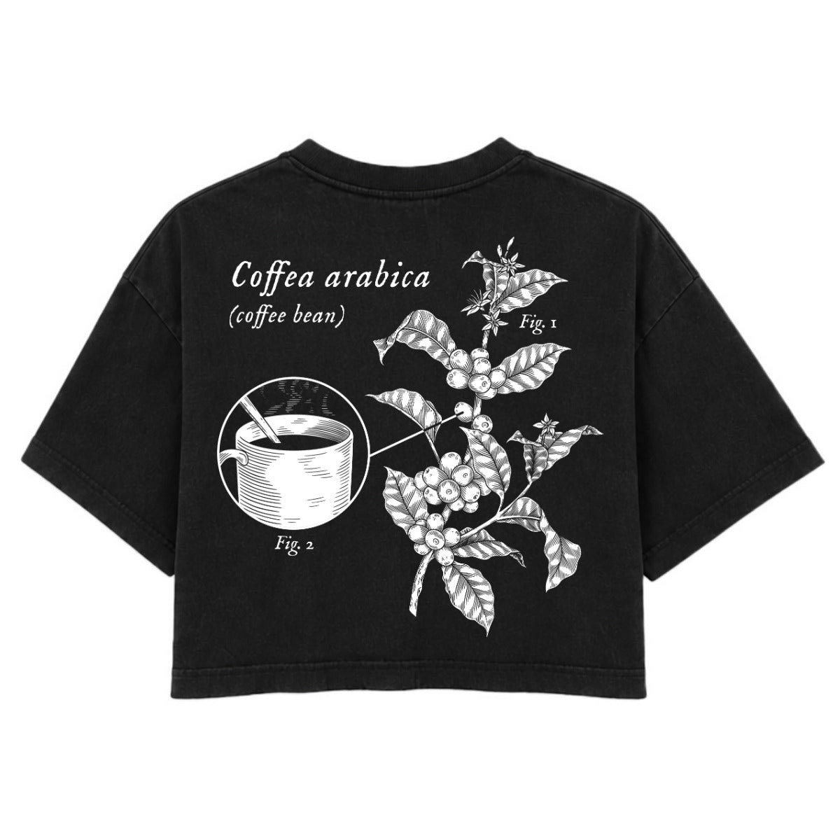 Coffee Plant Study | Washed Black | Rogue Womens 220gsm Washed Cropped Tee