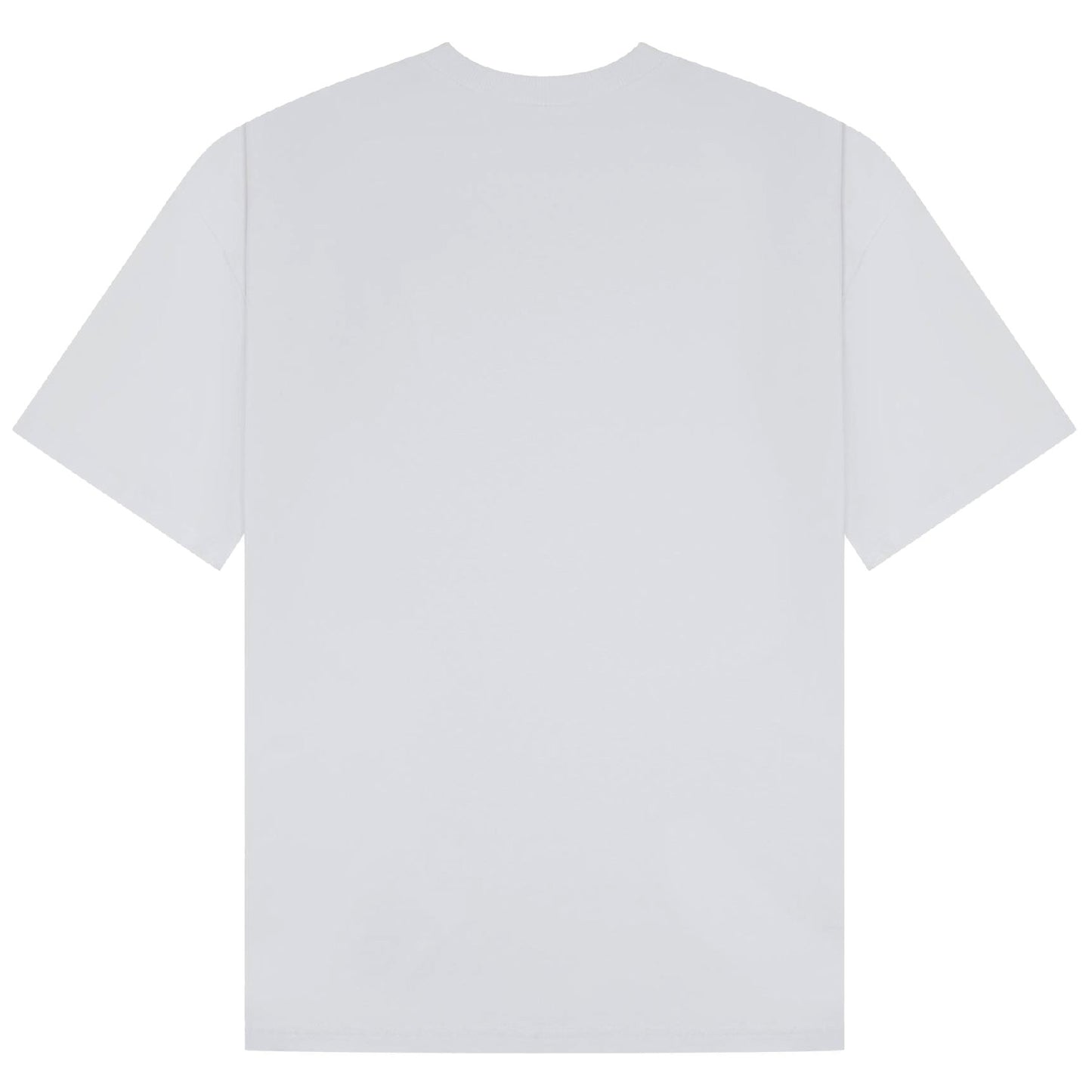 Snake Vase | Oversized White T-Shirt