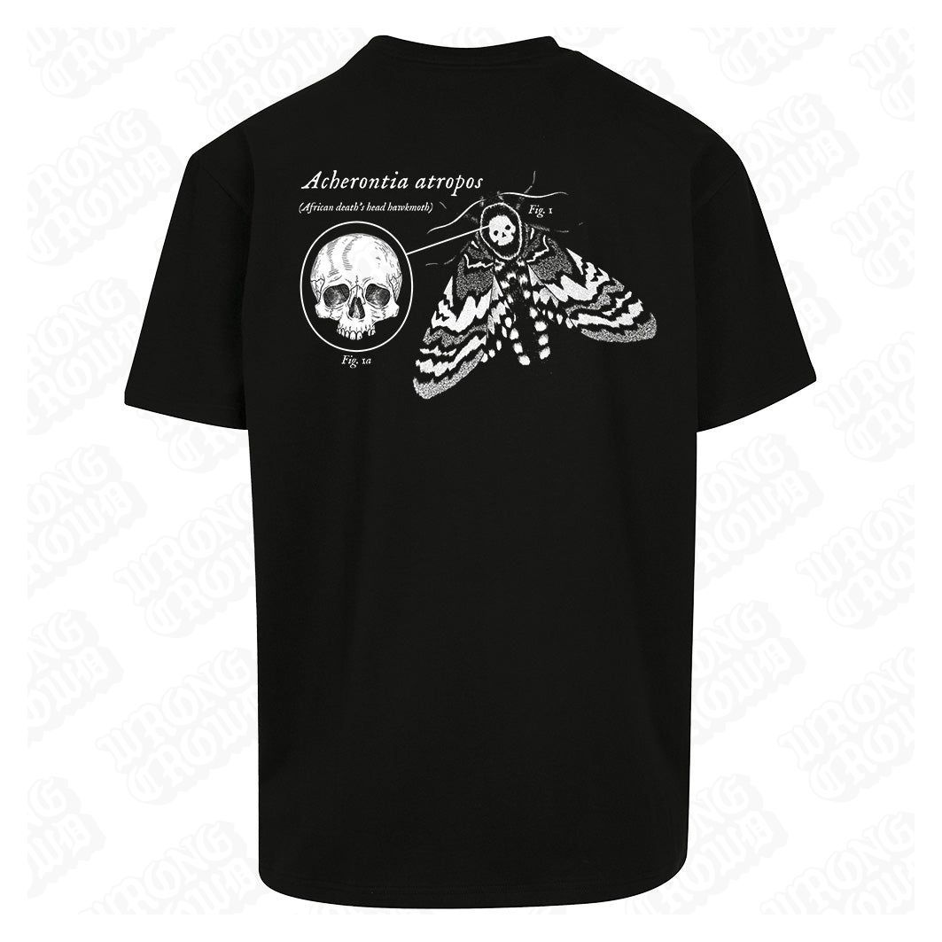 Deaths Head Hawkmoth | Oversized Black T-Shirt - Wrong Crowd Artist merch