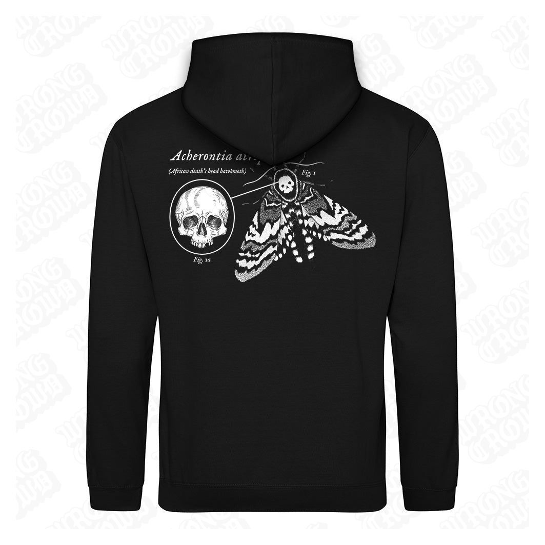 Deaths Head Hawkmoth | Black Hoodie - Wrong Crowd Artist merch