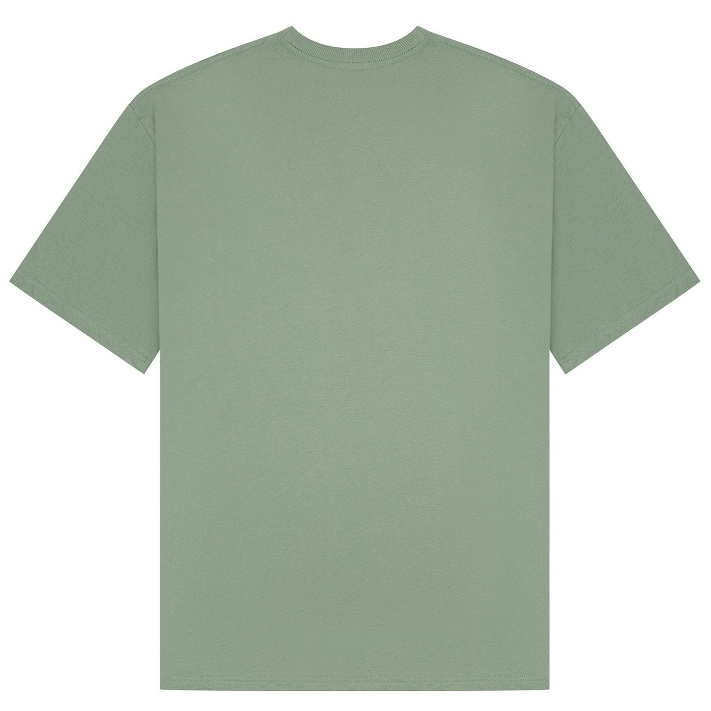 Horse | Oversized Sage T-Shirt