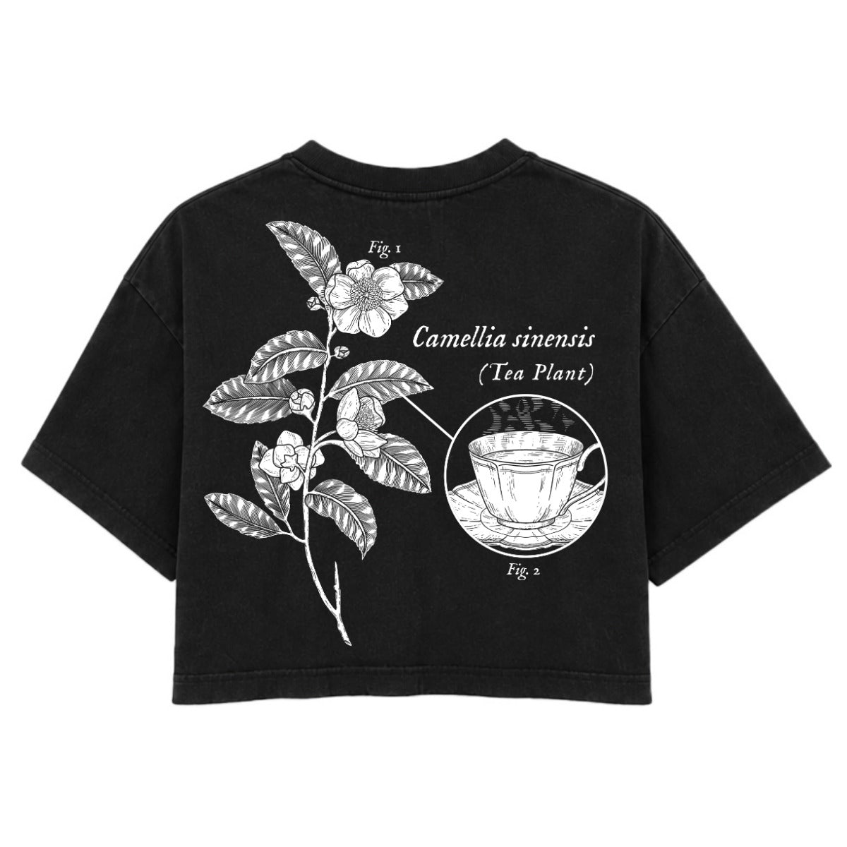 Tea Plant Study | Washed Black | Rogue Womens 220gsm Washed Cropped Tee