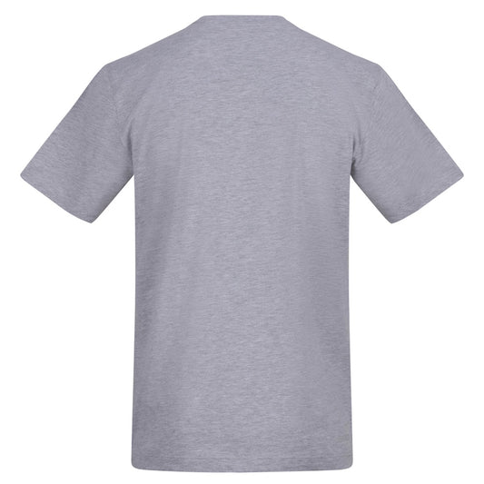 Colour Panther Tee | Heather Grey | Duzzer 180gsm Regular Fit T-Shirt