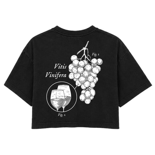 Wine Study | Washed Black | Rogue Womens 220gsm Washed Cropped Tee