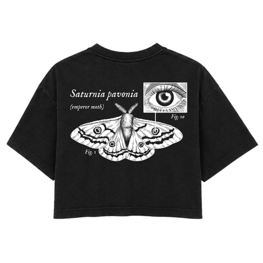 Emperor Moth | Washed Black | Rogue Womens 220gsm Washed Cropped Tee