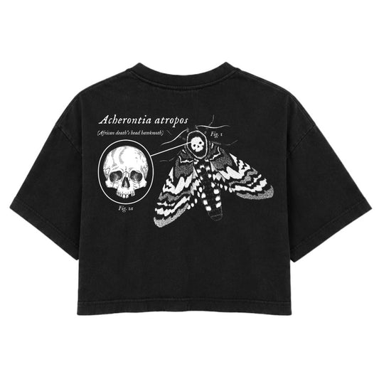 Deaths Head Hawkmoth | Washed Black | Rogue Womens 220gsm Washed Cropped Tee