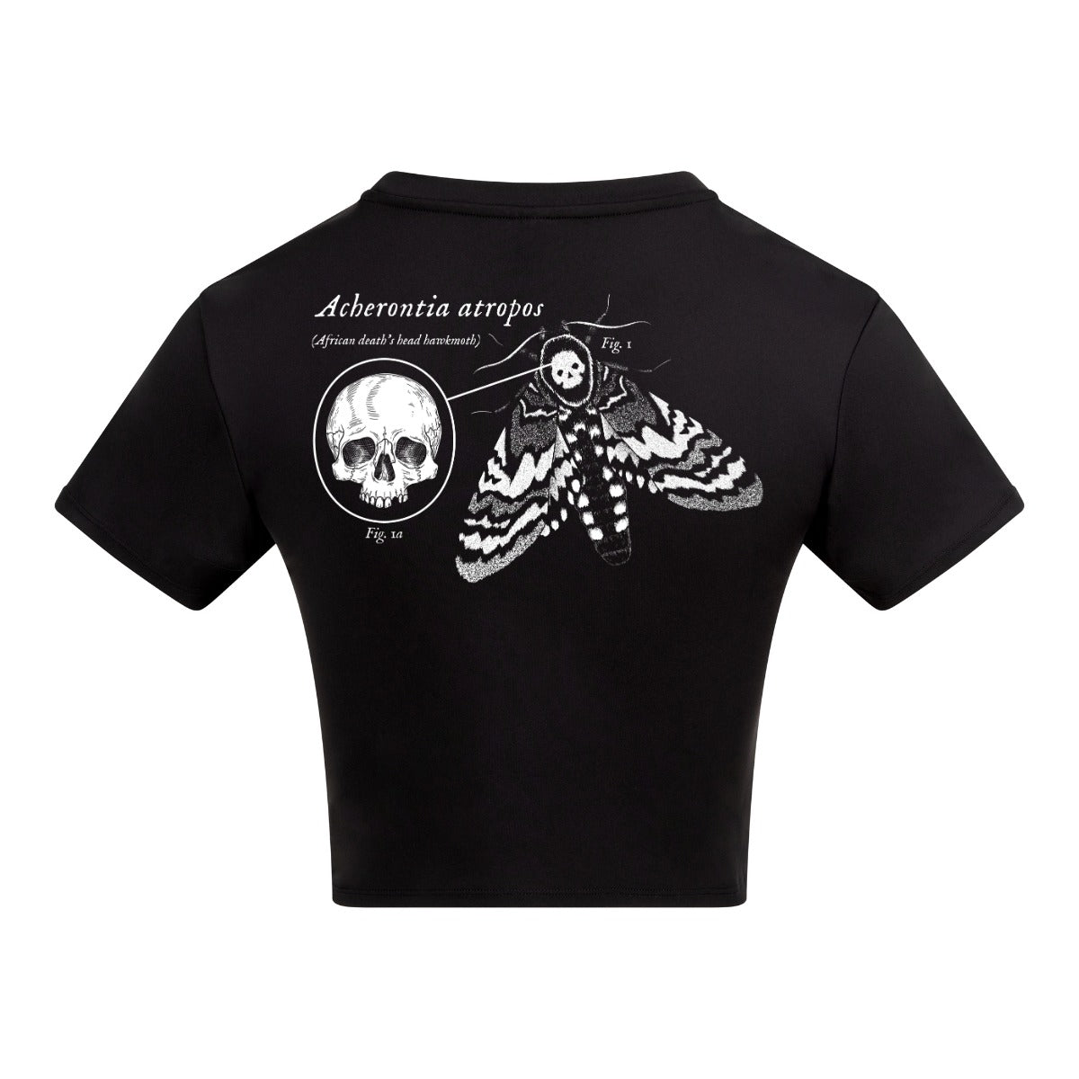 Deaths Head Hawkmoth | Black | Vixen Recycled Womens 240gsm Cropped Tee